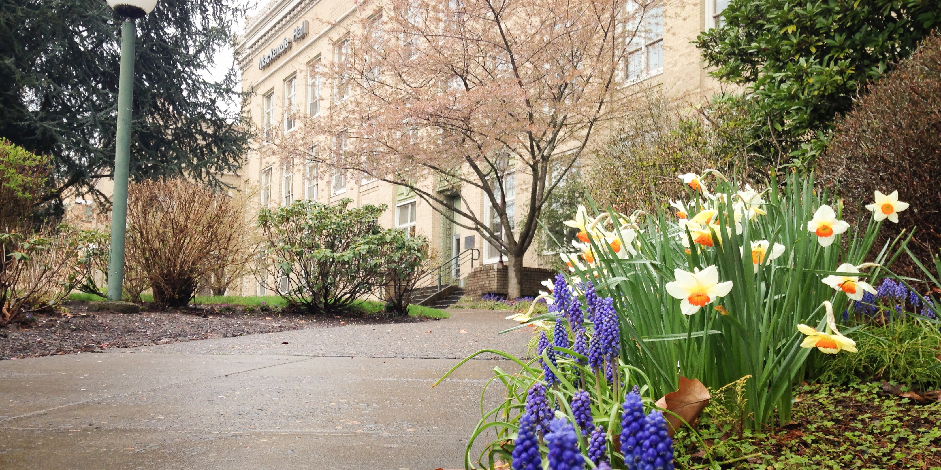 Mackenzie Hall with spring flowers